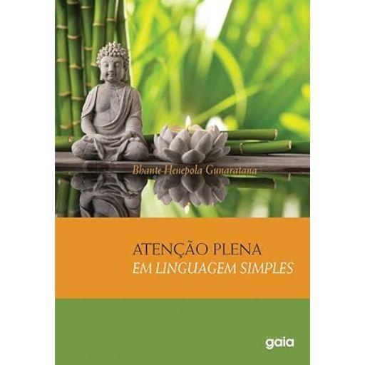 Atenção Plena em linguagem simples