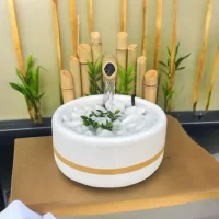 Fonte de Água com Cerca de Bambu